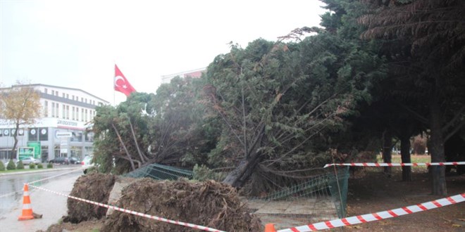 Kocaeli'de iddetli rzgar ve frtnada 2 kii yaamn yitirdi