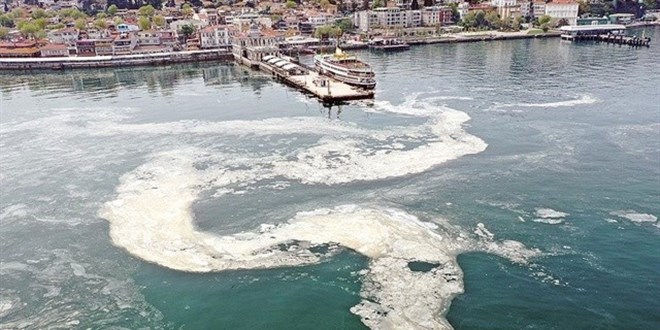 Bakanlk msilaj iin dmeye bast: Artma tesisi kurulmas art