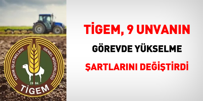 TGEM, 9 unvann grevde ykselme artlarn deitirdi