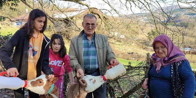 z doan buzalarna bebek gibi bakyorlar