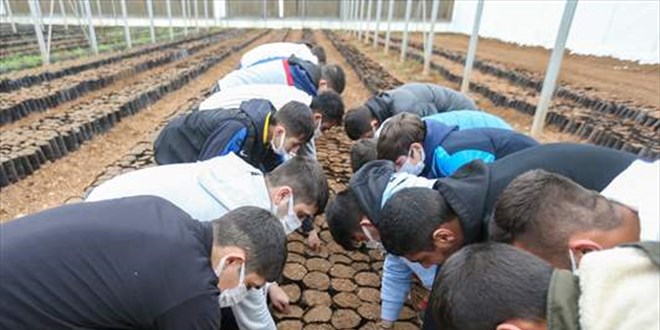 Gaziantep'teki tedavi gren madde bamls genler fidan dikti