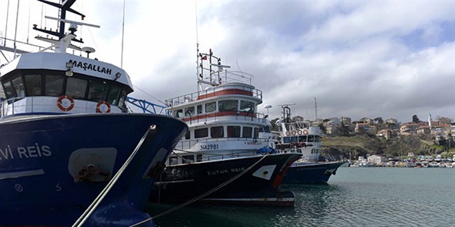 Karadeniz kysnda balk av yasakland