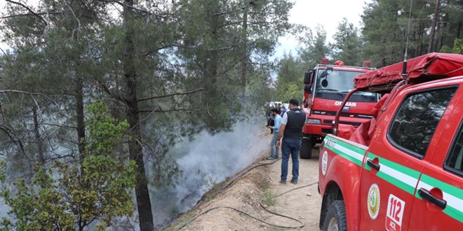 Pamukkale'de 1 gnde 2 orman yangn