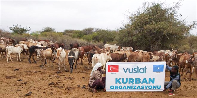 Vuslat Dernei 20 lkede kurban kesimi yapacak