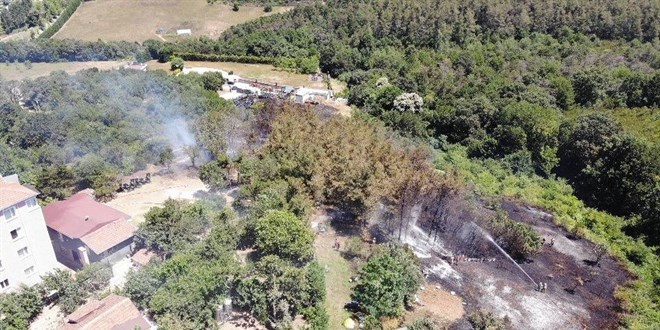 Beykoz'da korkutan orman yangn: Alevler evlerin bahesine srad