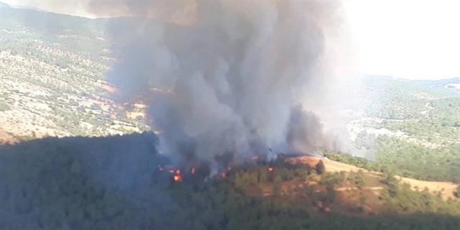 anakkale'de kan orman yangnna mdahale ediliyor