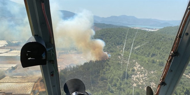 zmir'de seralarn bulunduu blgede kan yangn ormana srad