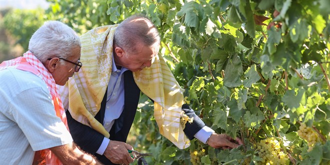 Cumhurbakan Erdoan Manisa'da ba bozumuna katld