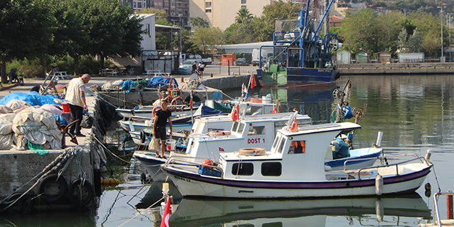 Marmara'da hamsi, Karadeniz'de palamut, balklar umutlandrd