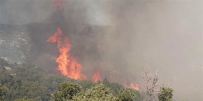 Antalya'nn Ka ilesinde makilikte yangn