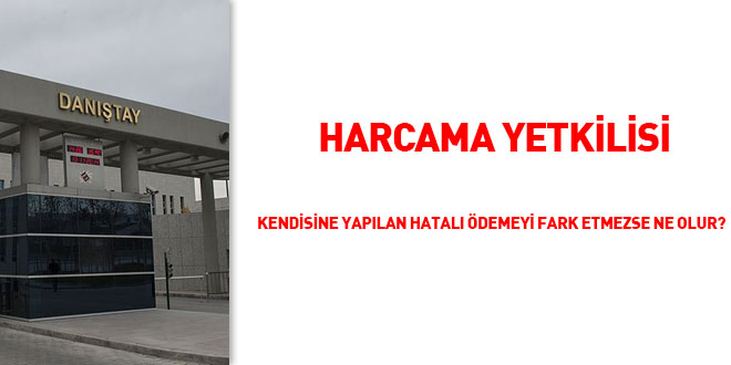 'Harcama yetkilisi' kendisine yaplan hatal demeyi fark etmezse ne olur?