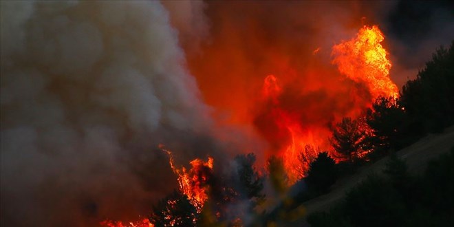 PKK talimatyla orman yakan terrist iin arlatrlm mebbet istemi