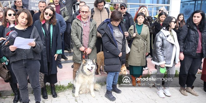 Krklareli'nde kpek yavrusunu ldrmekle sulanan zanlnn serbest kalmasna tepki