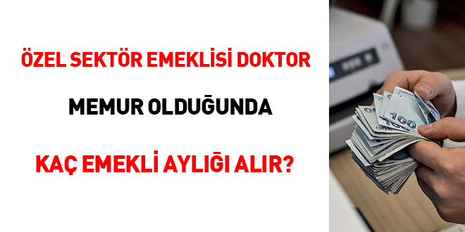 zel sektr emeklisi doktor, memur olduunda ka emekli ayl alr?