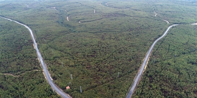 Krklareli'nde ormanlk alanlara giriler 10 Haziran-30 Eyll tarihlerinde yasakland