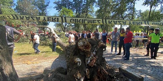 Krkpnar Yal Greleri'nde korku dolu anlar: 2 yaral