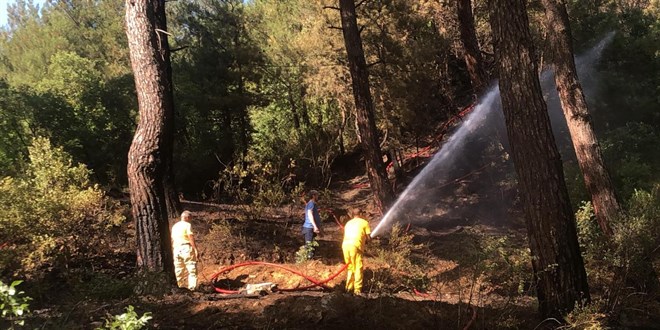 Bursa'da iki noktada orman yangn