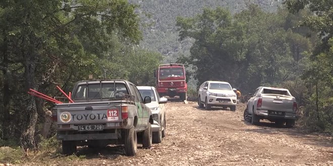 Bolu'da yldrm dmesi sonucu kan orman yangnna mdahale sryor