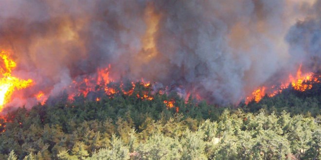Orman yangnlarnn yzde 48'i ihmal, dikkatsizlik ve kaza sonucu kt