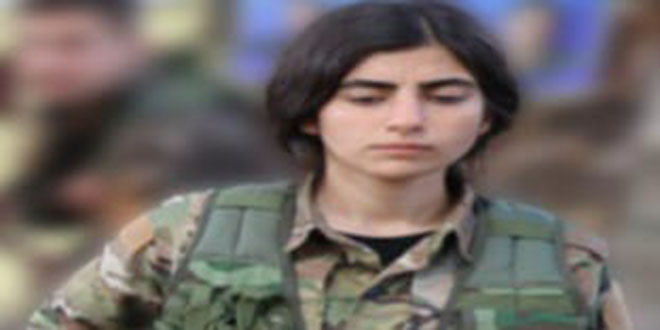 MT, PKK/YPJ Sorumlusunu Suriye/Haseke'de etkisiz hale getirdi