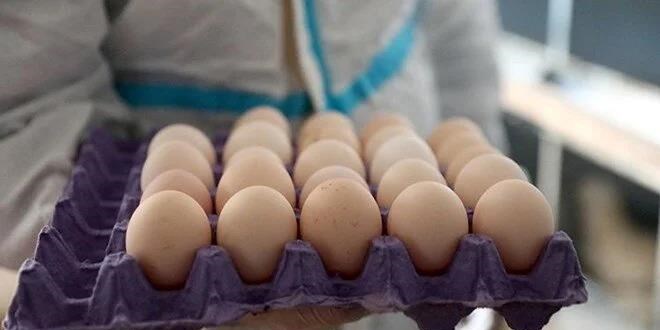 Yumurtann fiyat bir ylda ikiye katland