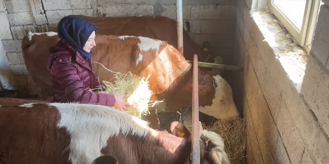 ehirden kyne dnen kadn mhendis, devlet desteiyle besici oldu