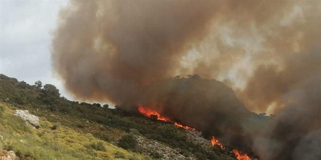 Mula'da makilik ve tarmsal alanda yangn kt