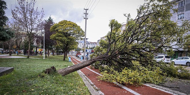 Ankara'da iddetli rzgar hayat olumsuz etkiledi