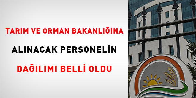 Tarm ve Orman Bakanlna alnacak personelin dalm belli oldu