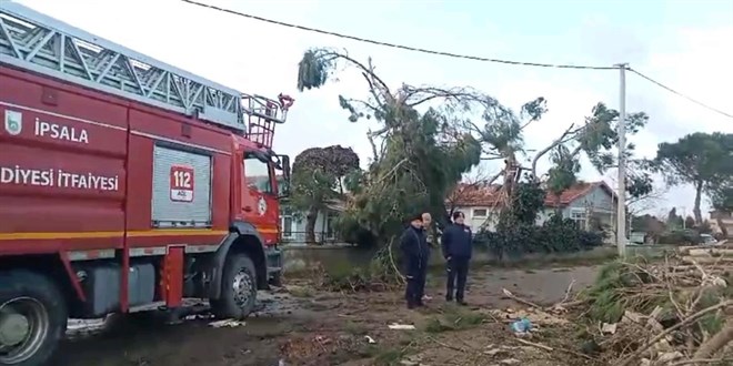 Edirne'de hortum atlar uurdu, aa ve direkleri devirdi