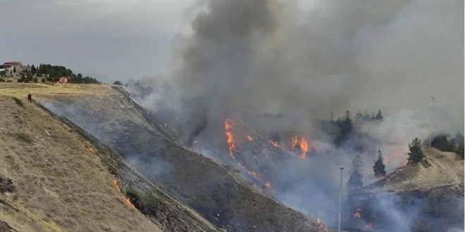 Denizli'deki orman yangnyla ilgili 3 kii gzaltna alnd