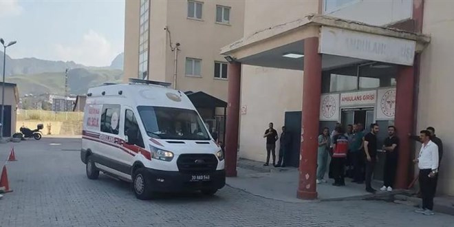 Hakkari'de otomobil Zap Suyu'na utu: polis ve retmen ei yaral