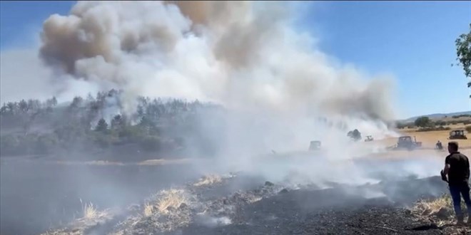 Balkesir'de kan yangna mdahale ediliyor