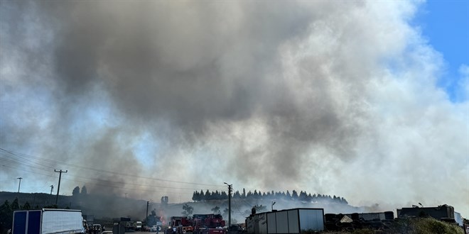 Tuzla'da fabrikada yangn: Yandaki fabrika ve ormana srad