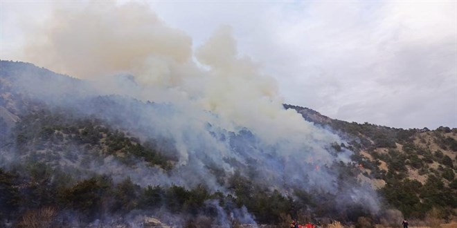 orum'da orman yangn: Havadan ve karadan mdahale ediliyor
