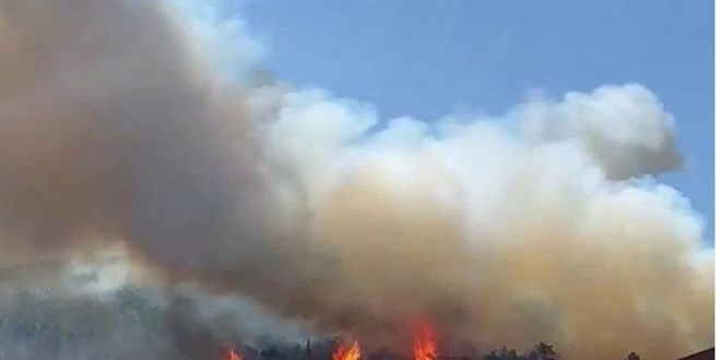 stanbul'da Aydos Orman'nda yangn: Dumanlar gkyzn kaplad