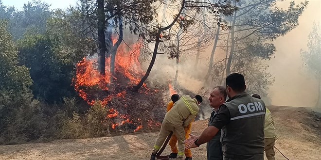 Orman yangnlar artarken etkilenen alan azald