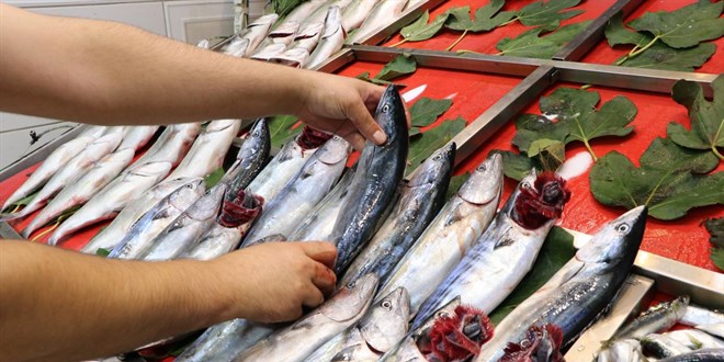 stanbul'da tezgahlar 7 bin 500 ton balkla bulutu