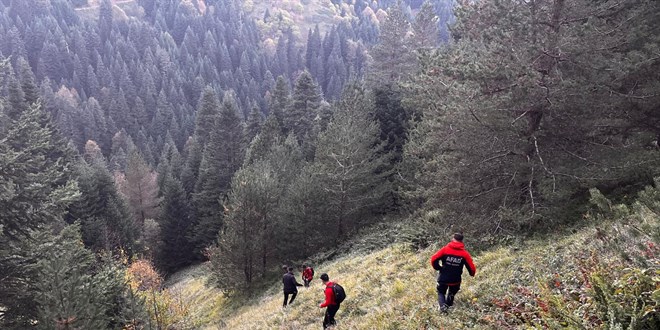 Bolu'da yaylada kaybolan yal ift l bulundu