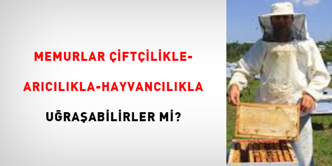 Memurlar iftilikle-arclkla-hayvanclkla uraabilirler mi?