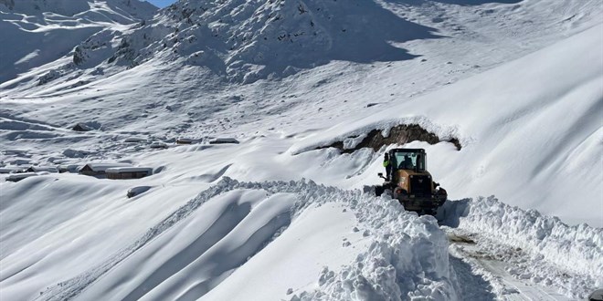 Artvin'de kar nedeniyle yaylada mahsur kalan 5 kii kurtarld