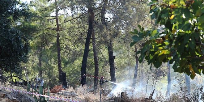 Alanya'da hava arac ormanlk alana dt