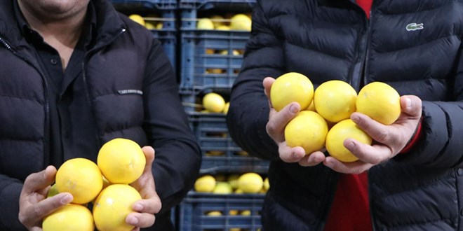 Limonda marketlerdeki fiyatlar 30 liray geti!