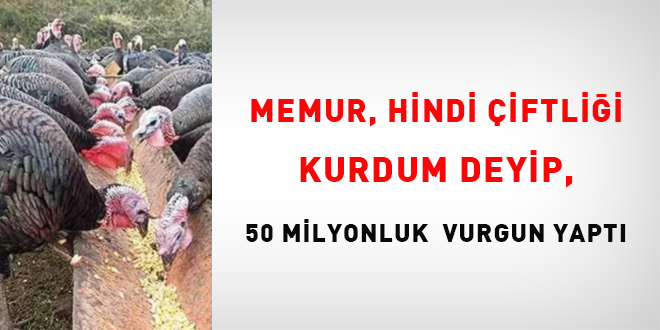 Memur, Hindi iftlii kurdum deyip, 50 milyonluk vurgun yapt