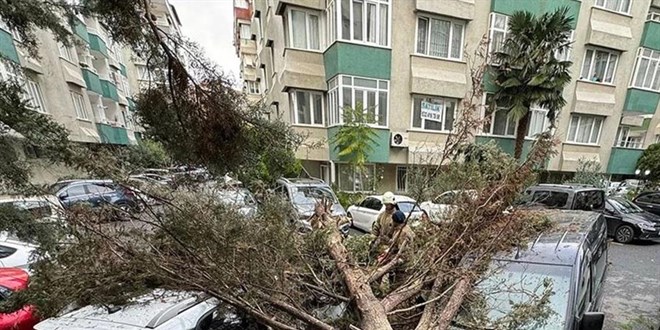 AKOM, stanbul'daki frtnann bilanosunu aklad