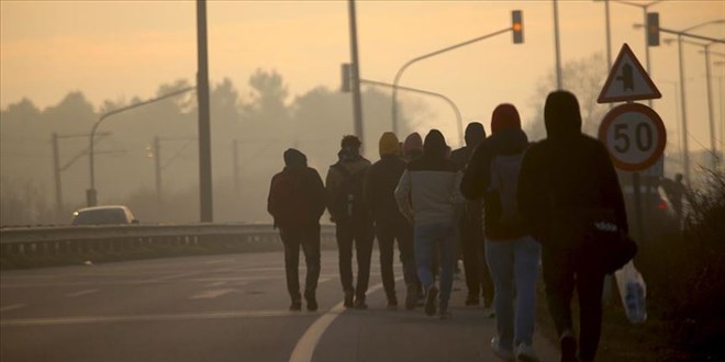 Van'da 20 dzensiz gmen yakaland