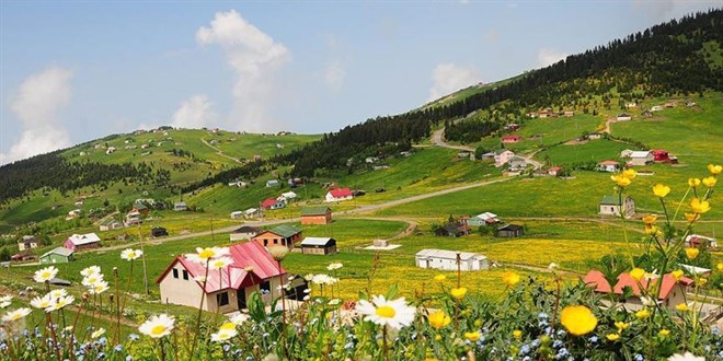 El konan 60 bin yayla tanmaz iade edilecek