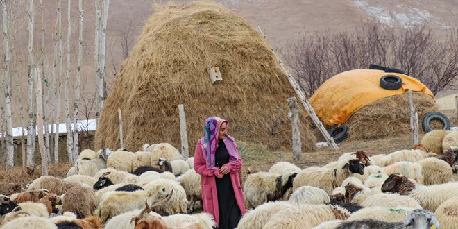 Engelli kadn KUR sayesinde sr sahibi oldu