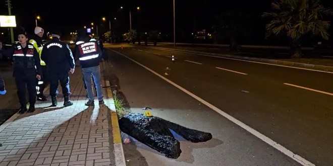 Kardeini korumak isterken otomobilin arpmasyla hayatn kaybetti