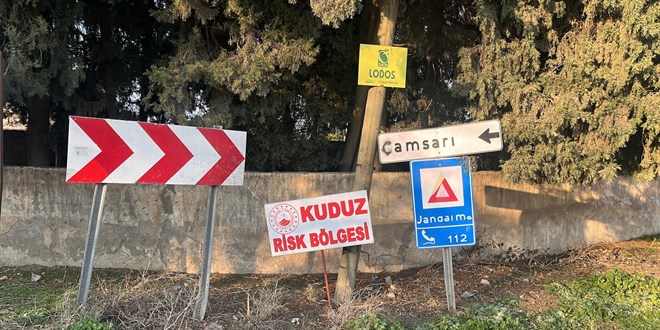 Hatay'da bir mahalle kuduz nedeniyle karantinaya alnd